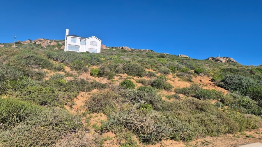 0 Bedroom Property for Sale in Steenbergs Cove Western Cape